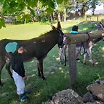 Semesterbostad Renove Pour 4 Pers. Avec Accueil Equin, Saint-front - Fr-1-582-538 *
