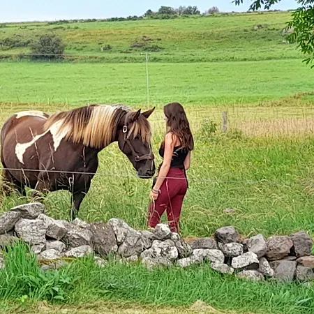 Сasa de vacaciones Rénové Pour 4 Pers. Avec Accueil équin, Saint-front - Fr-1-582-538 Moudeyres