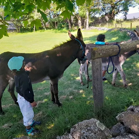 Сasa de vacaciones Rénové Pour 4 Pers. Avec Accueil équin, Saint-front - Fr-1-582-538 *