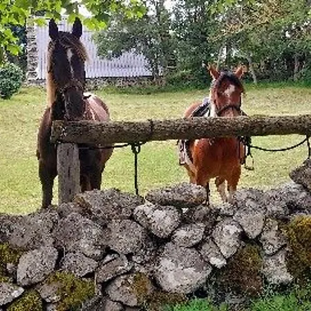 Rénové Pour 4 Pers. Avec Accueil équin, Saint-front - Fr-1-582-538 Moudeyres