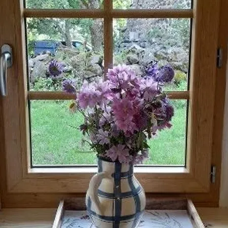 Rénové Pour 4 Pers. Avec Accueil équin, Saint-front - Fr-1-582-538 Сasa de vacaciones Moudeyres